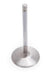 Edelbrock Edelbrock Stainless Steel Valves 93770 Autofit