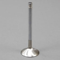 Edelbrock Edelbrock Stainless Steel Valves 93772 Autofit