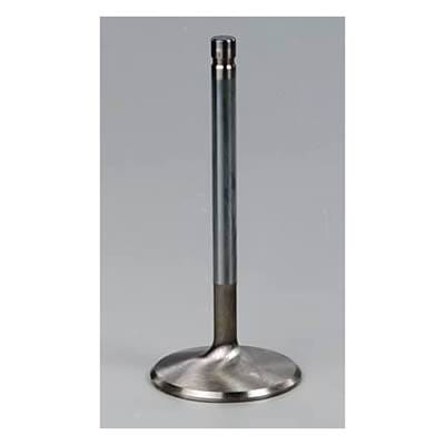 Edelbrock Edelbrock Stainless Steel Valves 93776 Autofit