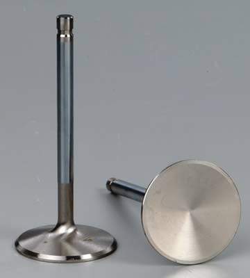 Edelbrock Edelbrock Stainless Steel Valves 9641 Autofit