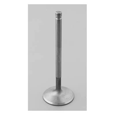 Edelbrock Edelbrock Stainless Steel Valves 9789 Autofit