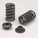 Edelbrock Edelbrock Sure Seat Valve Spring Kits 5894 Autofit