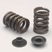 Edelbrock Edelbrock Sure Seat Valve Spring Kits 5895 Autofit