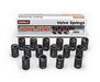 Edelbrock Edelbrock Sure Seat Valve Springs 5802 Autofit