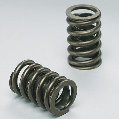 Edelbrock Edelbrock Sure Seat Valve Springs 5814 Autofit