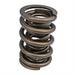 Edelbrock Edelbrock Sure Seat Valve Springs 5823 Autofit