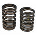Edelbrock Edelbrock Sure Seat Valve Springs 5922 Autofit