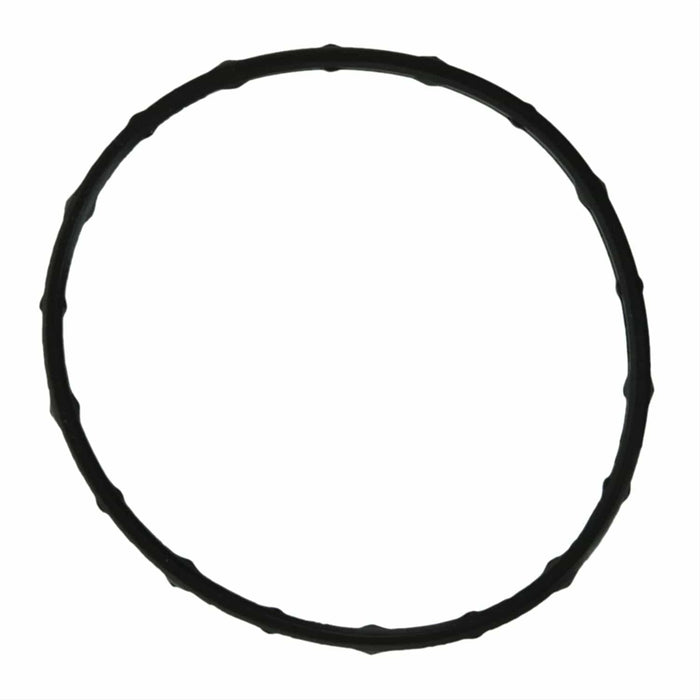 Fel-Pro Fel-Pro Water Neck Gaskets 36007 Autofit