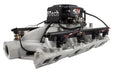 FiTech Fuel Injection FiTech Go Port EFI Complete Fuel Injection Systems 30458 Autofit