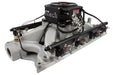FiTech Fuel Injection FiTech Go Port EFI Complete Fuel Injection Systems 37854 Autofit