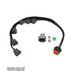 Franklin Performance Universal VR38 Coil Conversion Wiring Looms for Nissan RB Engines Autofit