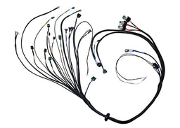 FuelTech FuelTech FT450/550 4-Cylinder Universal A Harnesses 2002006505 Autofit