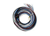 FuelTech FuelTech FT450/550 A Unterminated Harnesses 2001005569 Autofit