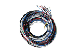 FuelTech FuelTech FT450/550 A Unterminated Harnesses 2001005570 Autofit