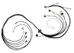 FuelTech FuelTech FT550 4-Cylinder Universal B Expansion Harnesses 2002006600 Autofit
