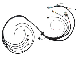 FuelTech FuelTech FT550 4-Cylinder Universal B Expansion Harnesses 2002006600 Autofit