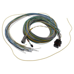 FuelTech FuelTech FT550 B Unterminated Harnesses 2001005571 Autofit