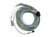 FuelTech FuelTech FT550 B Unterminated Harnesses 2001005572 Autofit