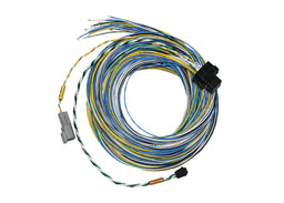 FuelTech FuelTech FT550 B Unterminated Harnesses 2001005572 Autofit
