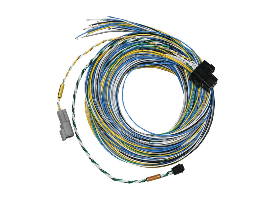 FuelTech FuelTech FT550 B Unterminated Harnesses 2001005572 Autofit