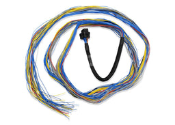 FuelTech FuelTech FT600 Unterminated Harnesses 2001004001 Autofit