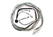 FuelTech FuelTech FT600 Unterminated Harnesses 2001004003 Autofit
