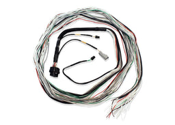 FuelTech FuelTech FT600 Unterminated Harnesses 2001004003 Autofit