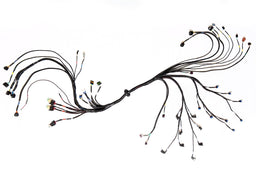 FuelTech FuelTech LS550 V8 Complete Harnesses 2002007265 Autofit