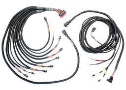 FuelTech FuelTech PRO550/600 FTSPARK-8 Harnesses 2002100142 Autofit