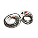 FuelTech FuelTech PRO550/600 V8 Smart Coil Harnesses 2002100109 Autofit