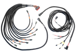 FuelTech FuelTech PRO600 GEN II V8 Complete Harnesses 3026100077 Autofit