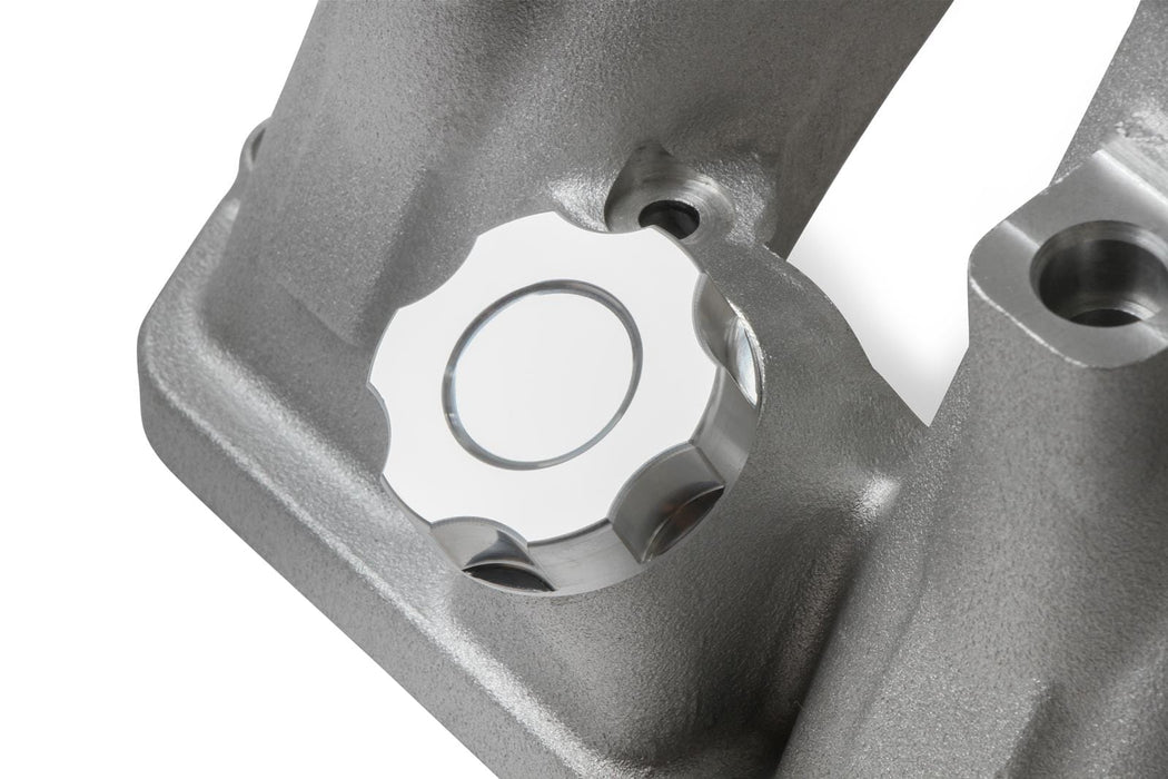 Holley Holley EFI Gen III Hemi Hi-Ram Intake Manifolds 300-650 Autofit