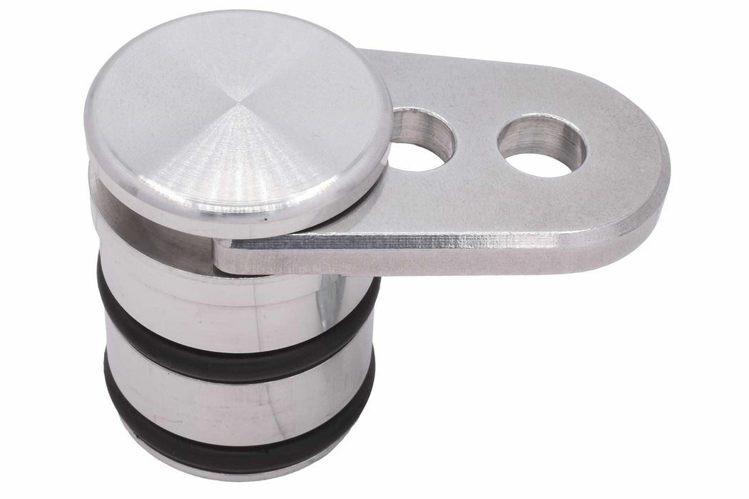 ICT Billet ICT Billet Direct Injection Fuel Pump Lifter Delete Plugs 551965-PLUG Autofit