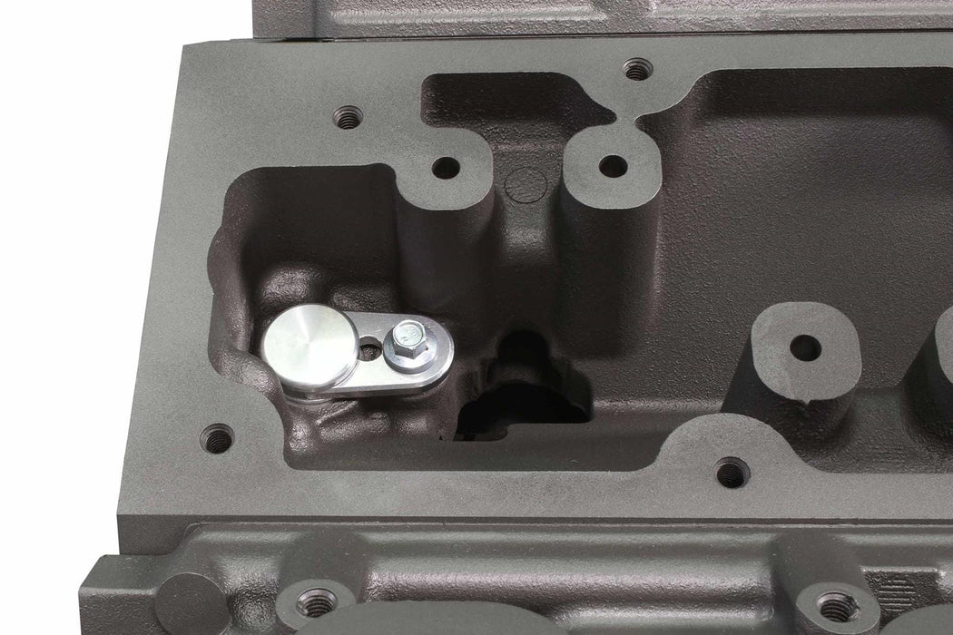 ICT Billet ICT Billet Direct Injection Fuel Pump Lifter Delete Plugs 551965-PLUG Autofit