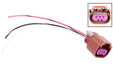 ICT Billet ICT Billet LS Fuel Sensor Wiring Harnesses WPFLX40 Autofit