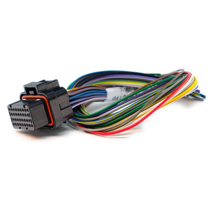 Link ECU Link ECU Link B Loom Short (0LB) Autofit