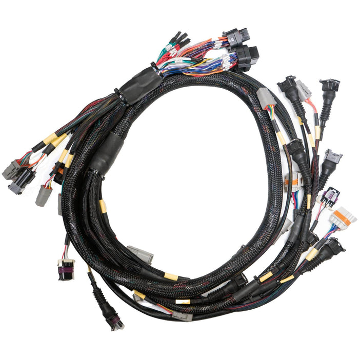 Link ECU Link ECU Link G4X StormX ECU + Terminated LS Engine Harness Drive-by-Cable Bundle Autofit