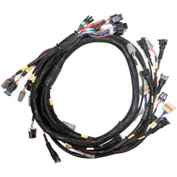 Link ECU Link ECU Link G4X XtremeX ECU + Terminated LS Engine Harness Drive-by-Wire Bundle Autofit