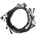 Link ECU Link ECU Link G4X XtremeX ECU + Terminated LS Engine Harness Drive-by-Wire Bundle Autofit