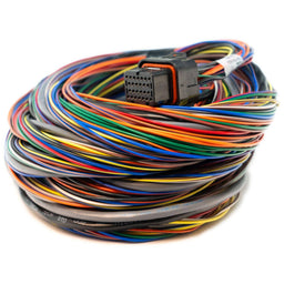 Link ECU Link ECU Link Old G4 Atom & Lightning 5m (5LT) Autofit