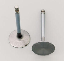 Manley Manley Budget Series Performance Valves 10548-8 Autofit