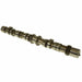 Melling Melling Camshafts MC1244 Autofit