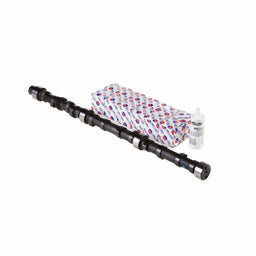 Melling Melling Stock Replacement Cam and Lifter Kits CL-CCS-18 Autofit