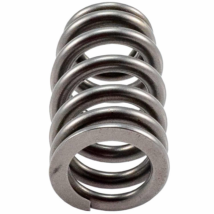 Melling Melling Valve Springs 461219 Autofit