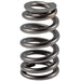 Melling Melling Valve Springs 461219 Autofit