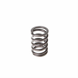Melling Melling Valve Springs VS-1090 Autofit