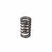 Melling Melling Valve Springs VS-110 Autofit