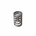 Melling Melling Valve Springs VS-1110 Autofit