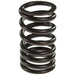Melling Melling Valve Springs VS-1116 Autofit
