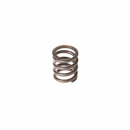 Melling Melling Valve Springs VS-1118 Autofit
